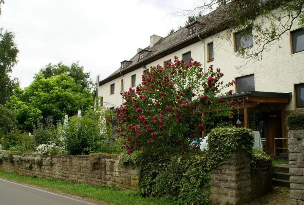 Hotel Altes Zollhaus Naehe Luxemburg Ammeldingen an der Our Esterno foto